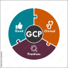 2025 10 GCP-Grundlagenkurs nach AMG (Blended Learning)